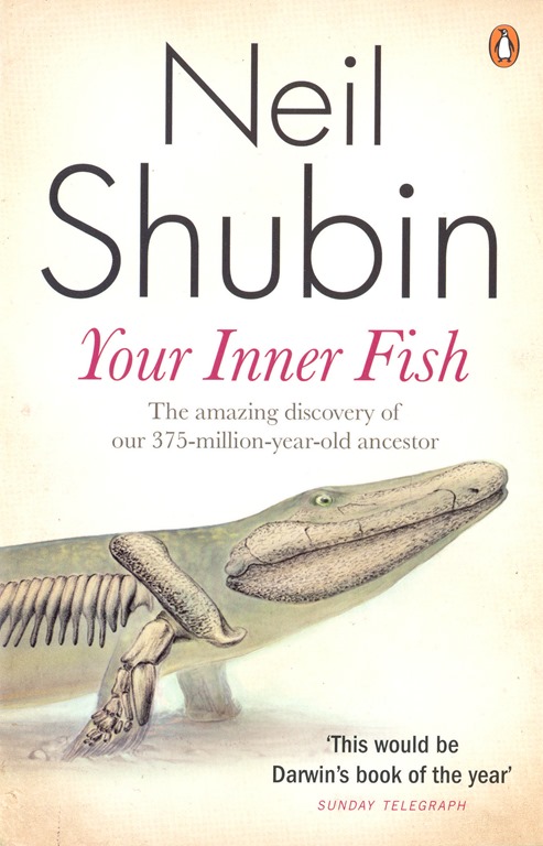 Book Review Your Inner Fish By Neil Shubin SomeBeans