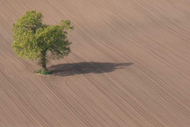 04 - April - Ploughed field