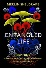 entangled_life
